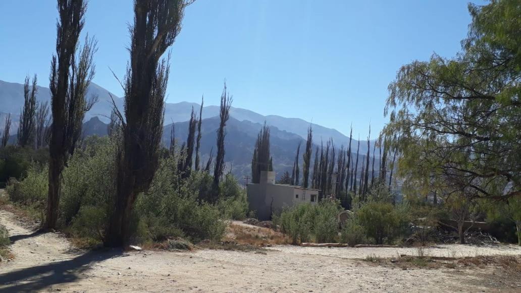Cabanas La Esther Tilcara Cameră foto