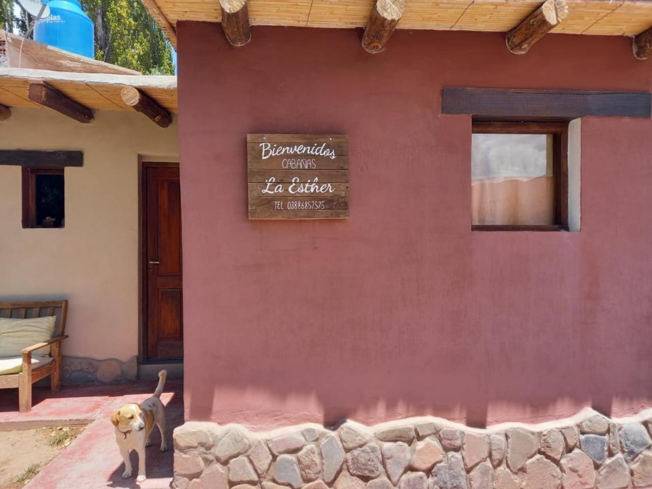 Cabanas La Esther Tilcara Exterior foto